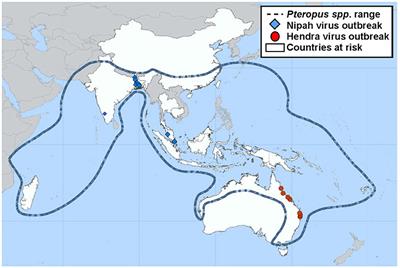 Vaccine Development for Nipah Virus Infection in Pigs